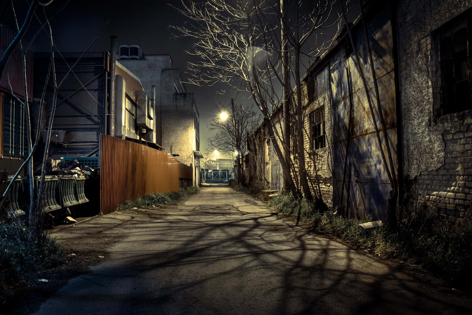 Alleyway 桌布 壁紙 — 夜晚一條狹窄的城市小巷，由單一街燈照亮，從光禿禿的樹木在風化的磚牆上投下長長的影子。
