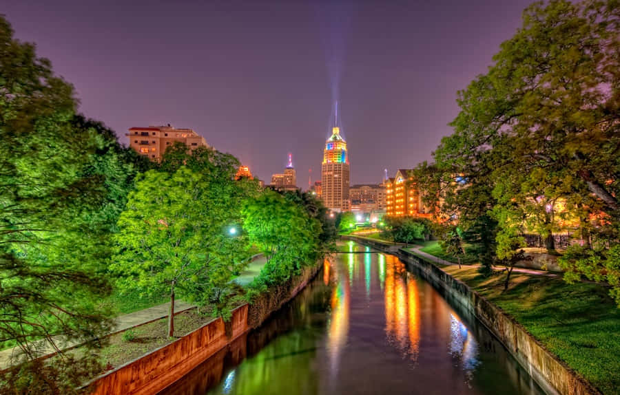 夜晚城市河畔樹影 壁紙