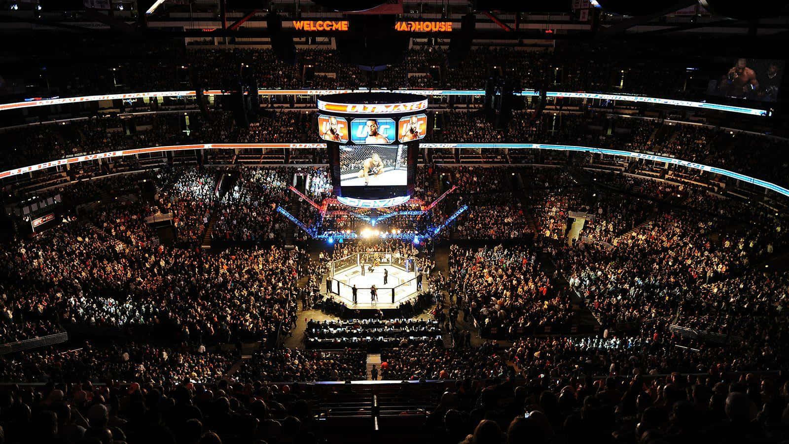 UFC 桌布 壁紙 — 夜晚擠滿人的競技場，一個明亮照明的八角形擂台，周圍是歡呼的人群，上方是發光的吊燈。