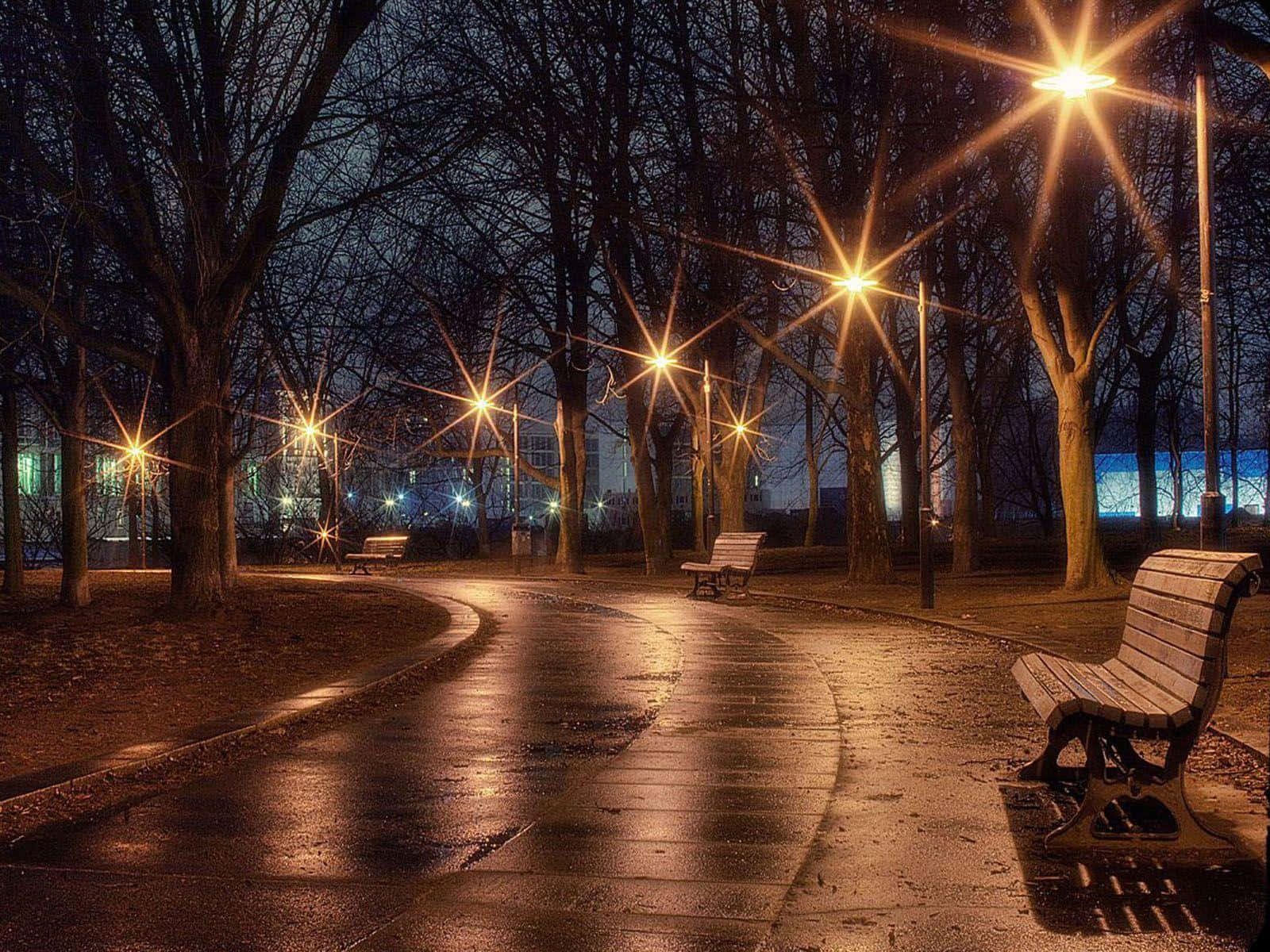Evening 桌布 壁紙 — 夜晚濕潤的公園小徑，被發光的街燈照亮，在光禿的樹木和木長椅上投射出星芒效果。