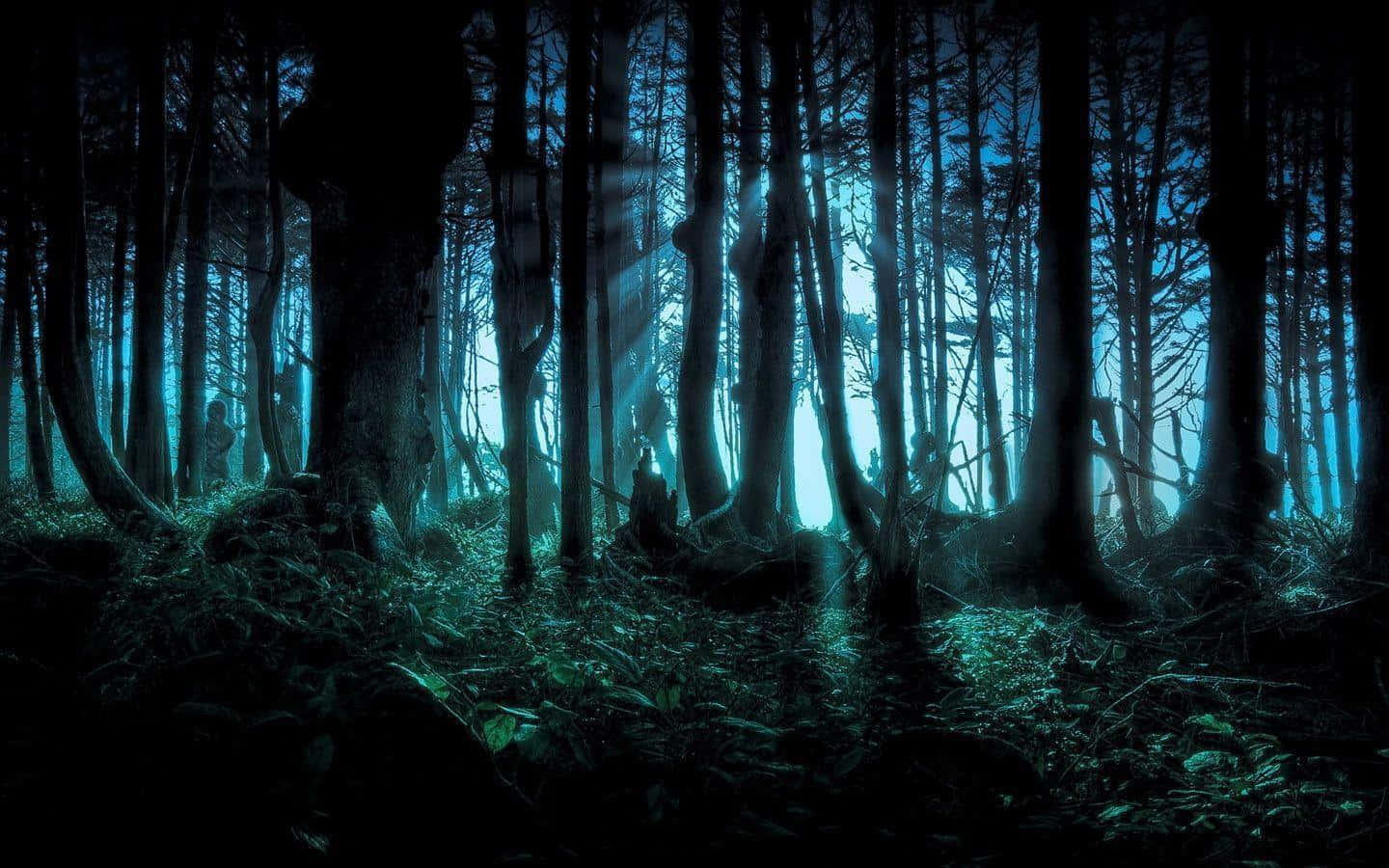 Anime Forest 桌布 壁紙 — 夜晚的神秘森林，詭異的藍光穿過高大的樹木，在長滿苔蘚的地面上投下長長的陰影。