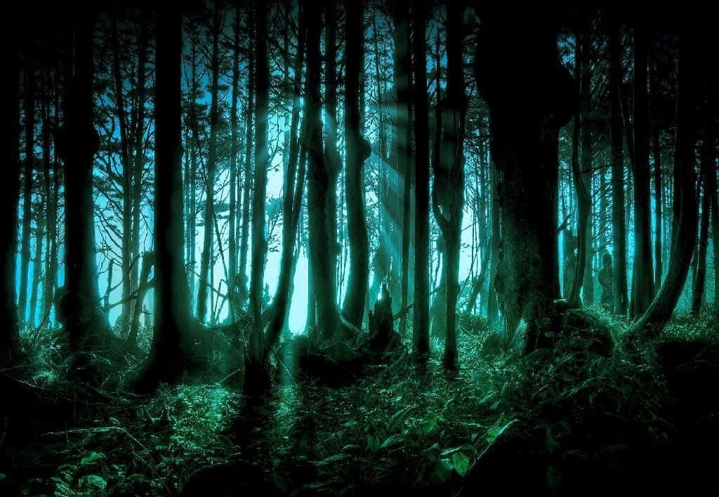 Dark Nature 桌布 壁紙 — 夜晚的神秘森林，詭異的青色光線穿過高聳的樹木，投下長長的陰影。