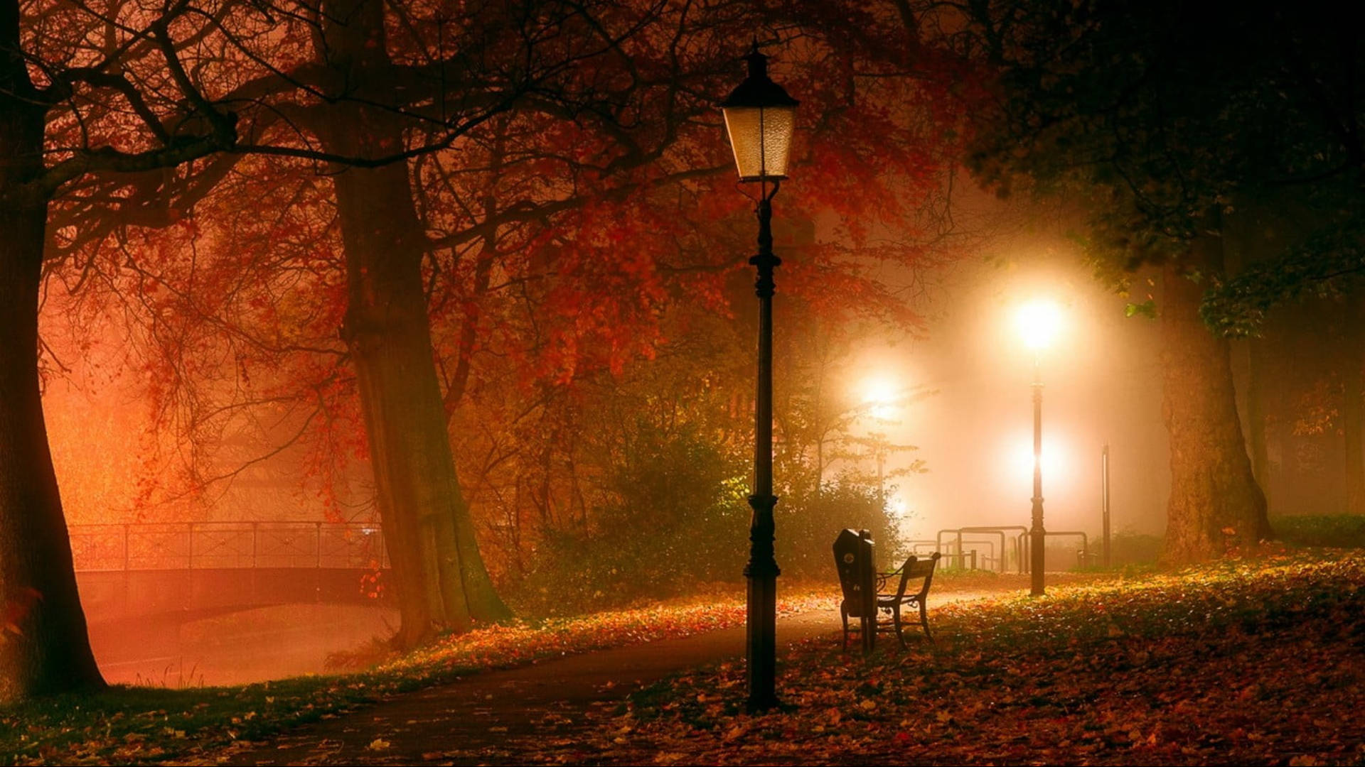 橙色美學 桌布 壁紙 — 夜晚薄霧籠罩的秋日公園，溫暖的路燈在落葉和光禿禿的樹木上投下金色的光芒。
