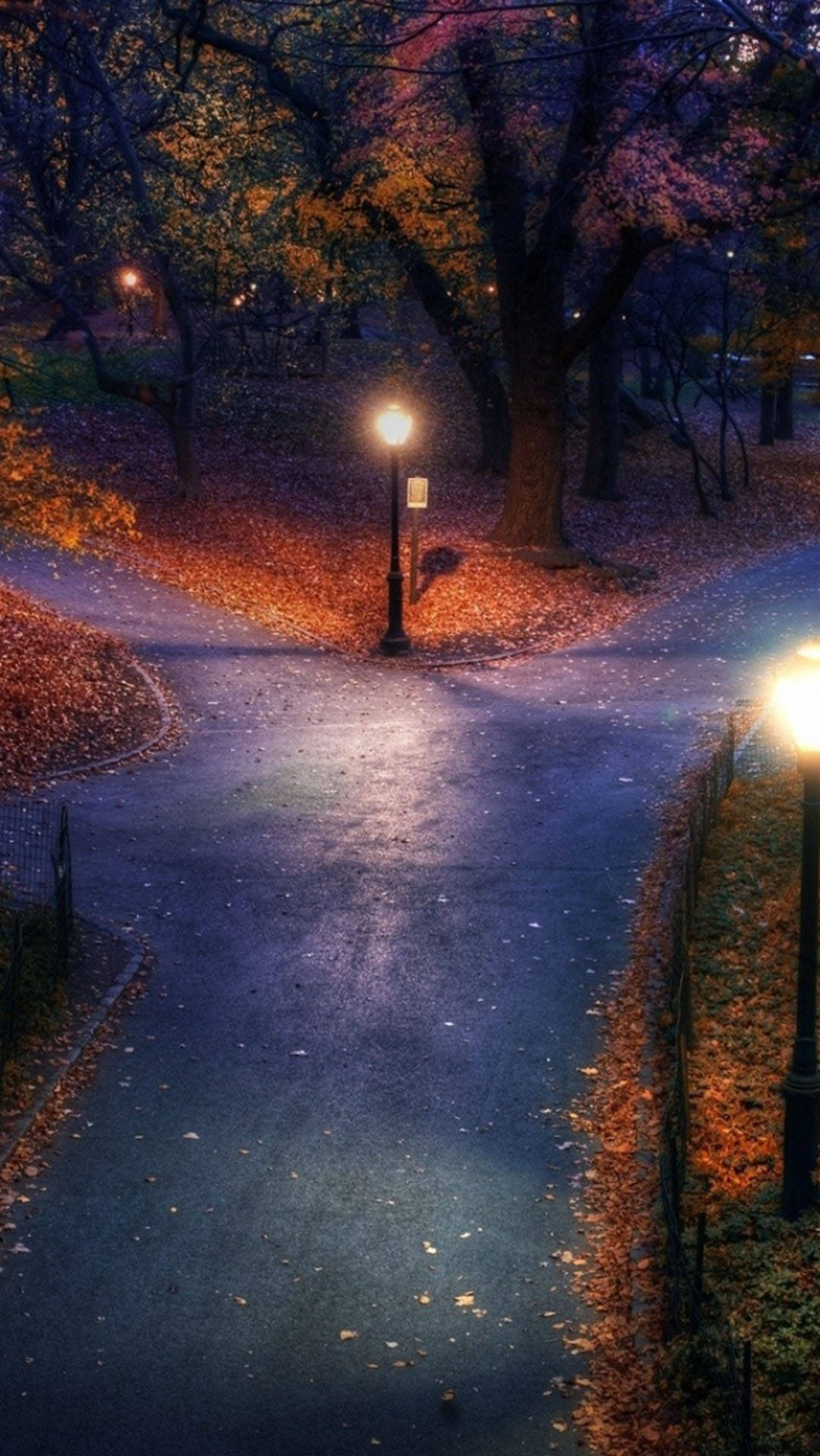 美國 桌布 壁紙 — 夜晚蜿蜒的公園小徑，溫暖的路燈在黑暗的樹下投射出金色的光芒，照亮了落下的秋葉。