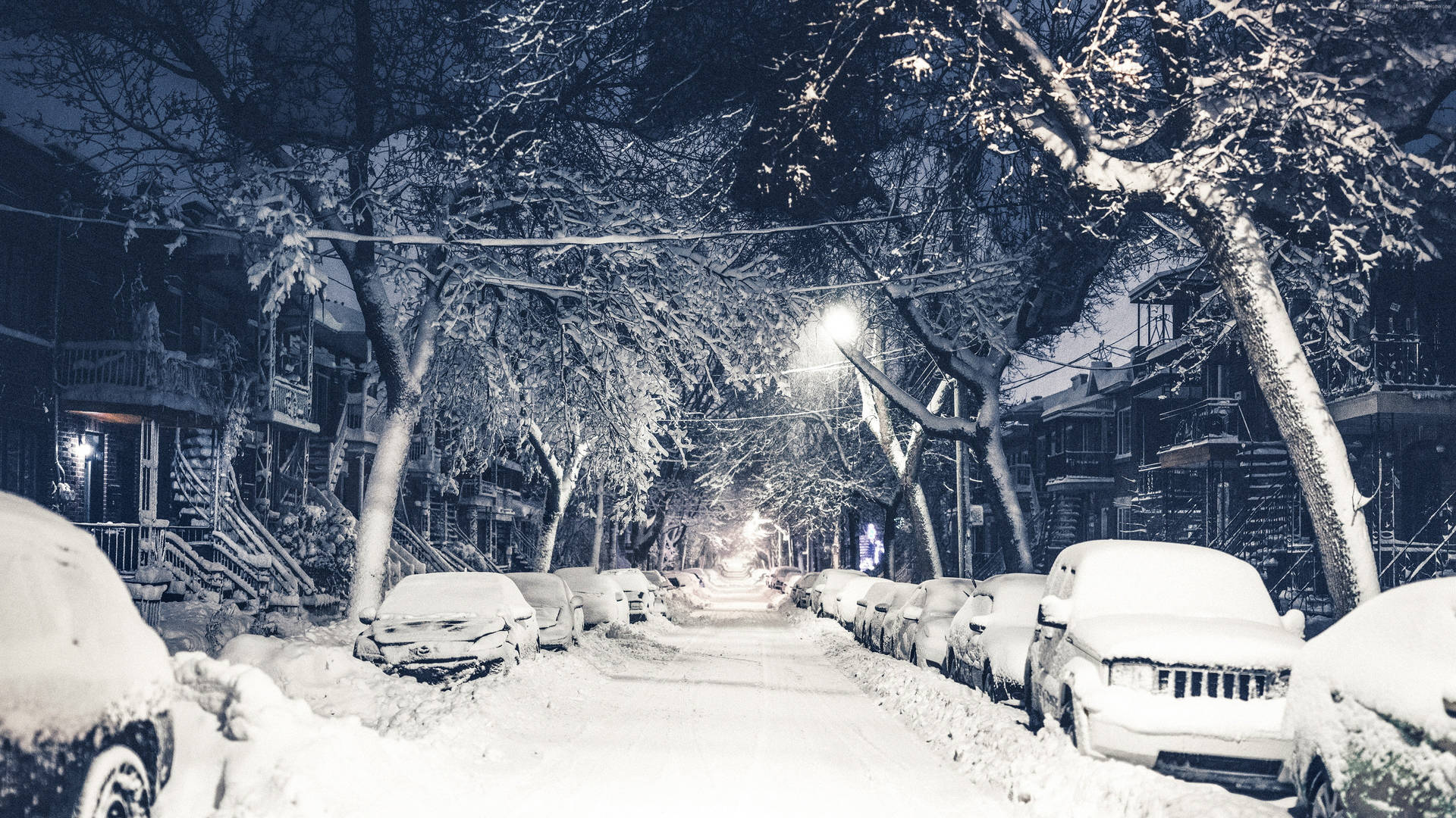  壁紙 — 夜晚被雪覆蓋的城市街道，停放的汽車被埋在白雪下，光禿禿的樹木在路燈下閃爍。