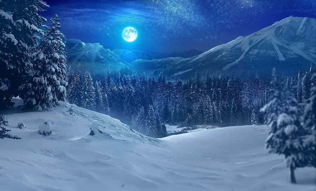 夜月奇美圖 壁紙 — 明亮的滿月下，星空和白雪覆蓋的松樹環繞的雪山山谷。