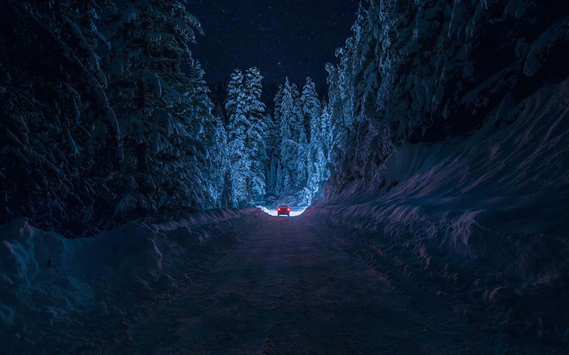 星空下雪林路上的紅色汽車