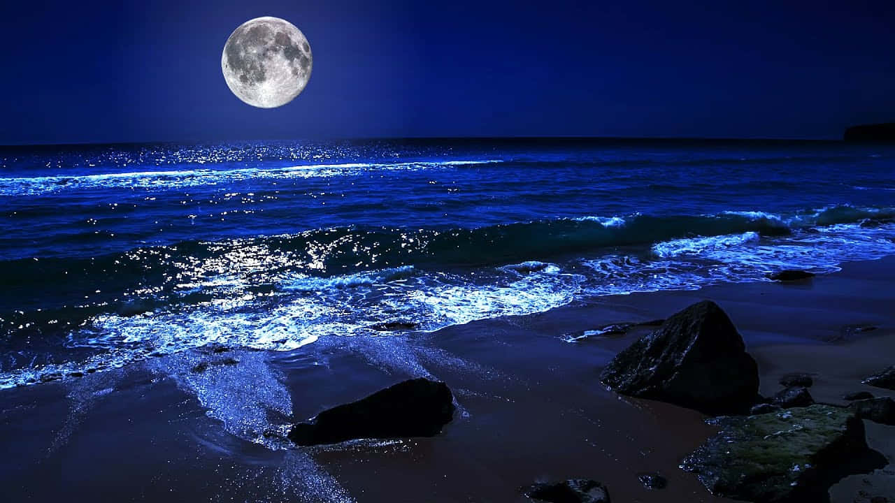 夜灘絕美風景 壁紙 — 滿月在岩石海灘上投下閃爍的藍色光芒，海浪在深邃的夜空下拍打著海岸。