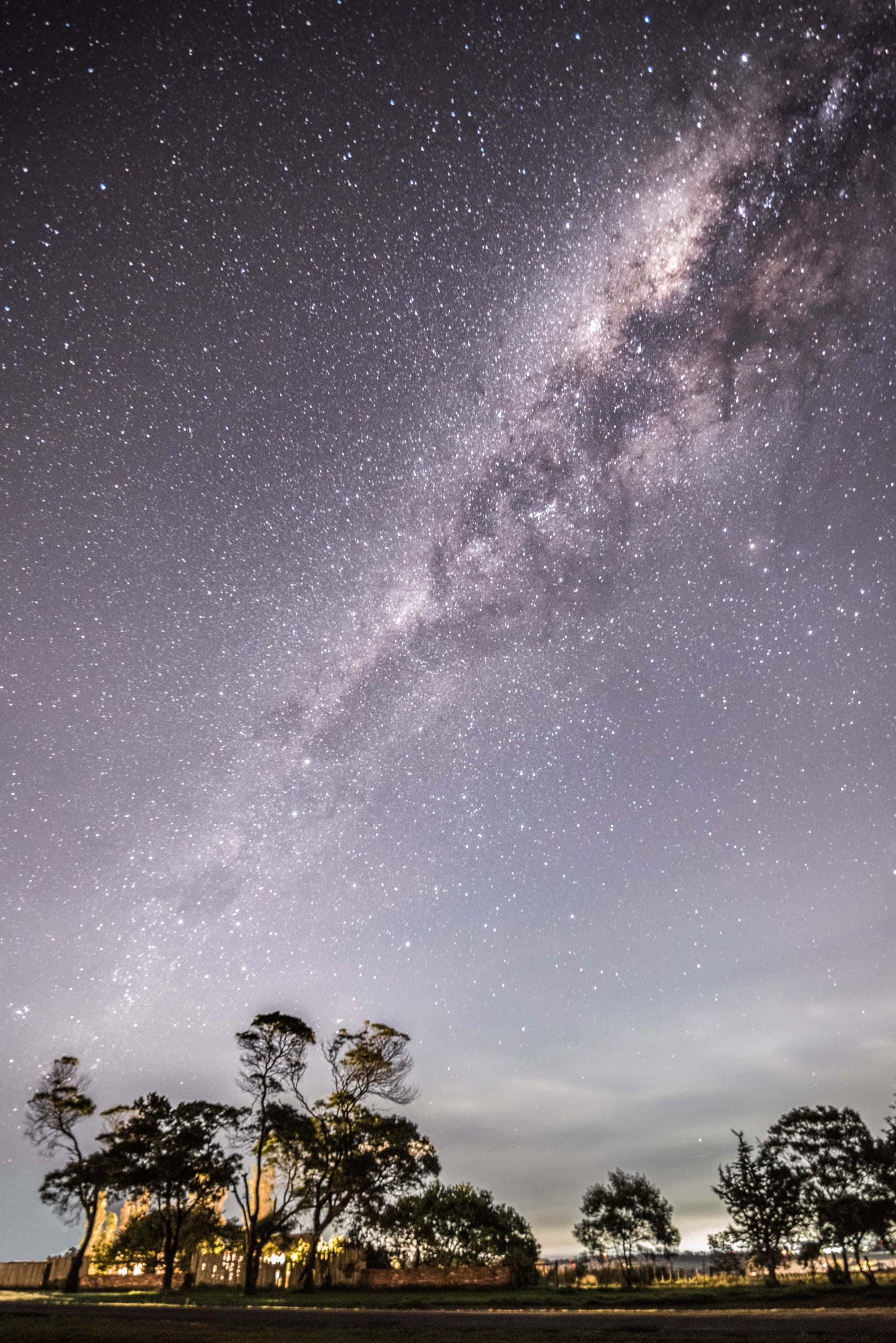 夜空下的樹木手機背景 壁紙 — 一個令人嘆為觀止的夜空，充滿無數星星和發光的銀河，拱形在樹木和遠處燈光的剪影之上。