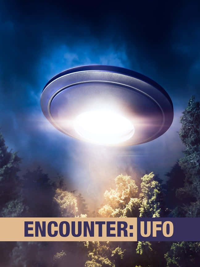 一個UFO在夜間懸浮在森林上空，將明亮的光線投射到樹木上。