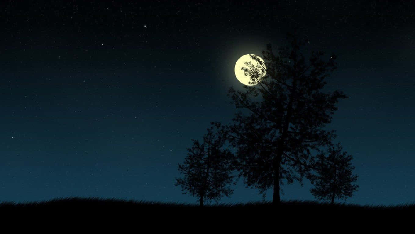 夜空中有樹與月亮 壁紙 — 剪影樹木矗立在繁星點點的夜空下，明亮的滿月透過樹枝灑下柔和的光芒。