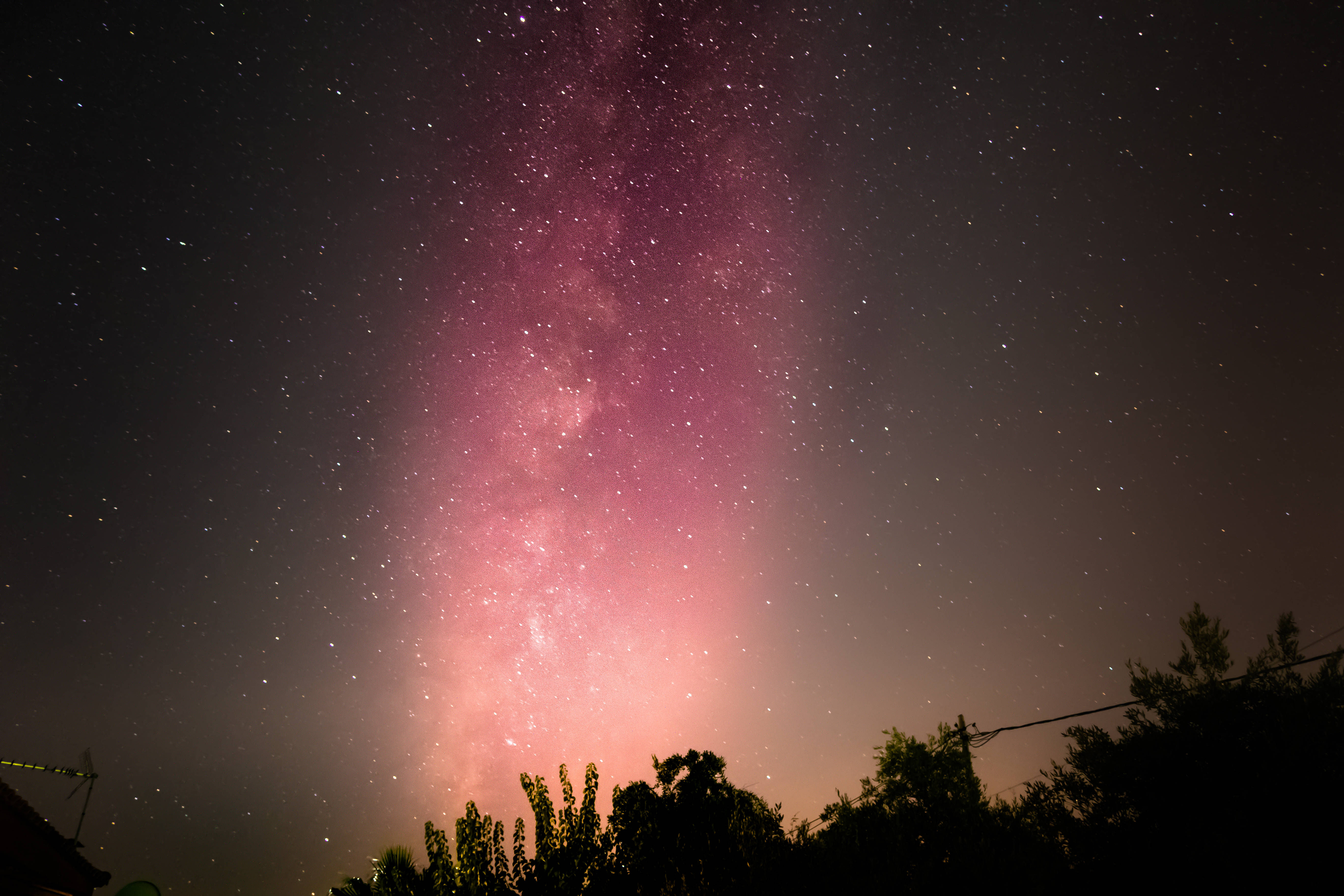 夜空中的粉紅星系 壁紙 — 在繁星點點的夜空下，剪影樹木上方閃耀著粉紅色和紫色的銀河，令人嘆為觀止。