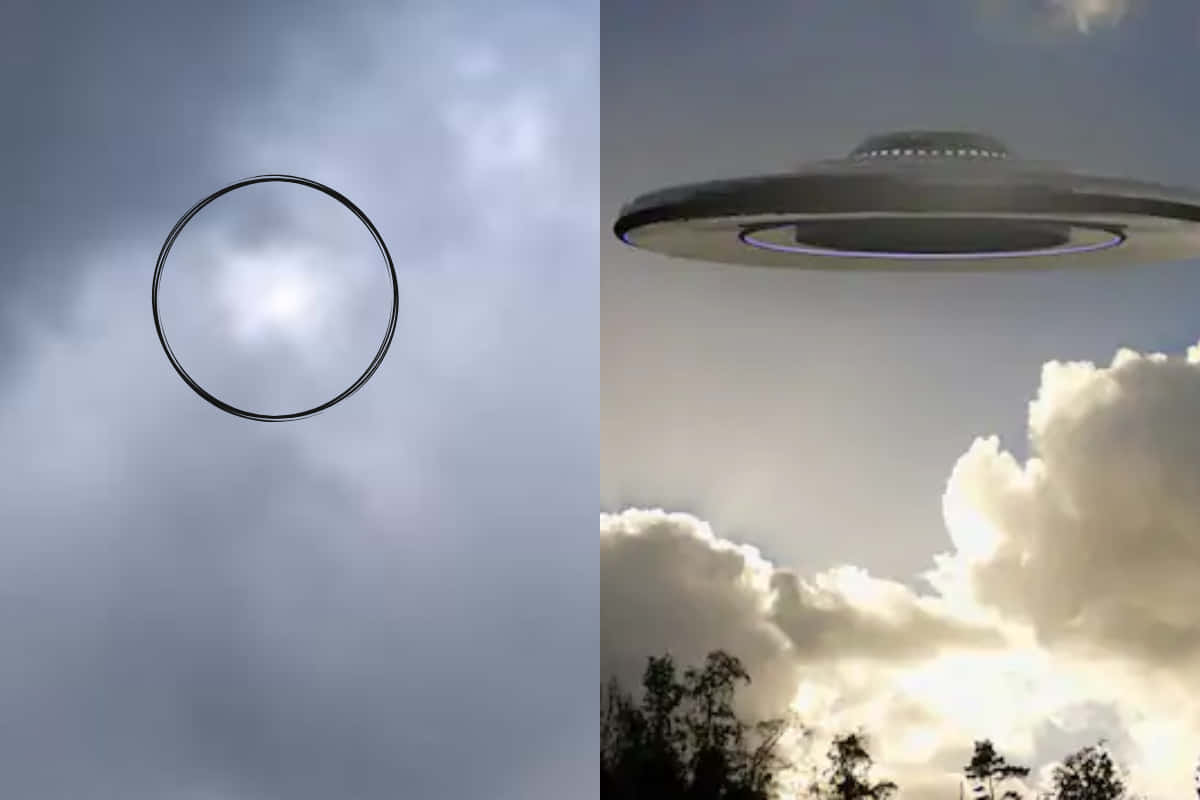 一個發光環和飛碟懸浮在陰雲密佈的天空中，在樹木上方。