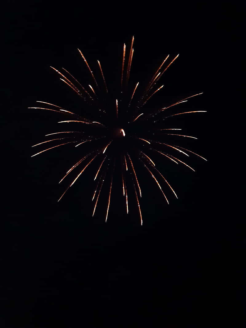 夜空中絢麗的煙火 壁紙 — 一顆金色煙火在漆黑的夜空中爆炸，形成燦爛的光束。