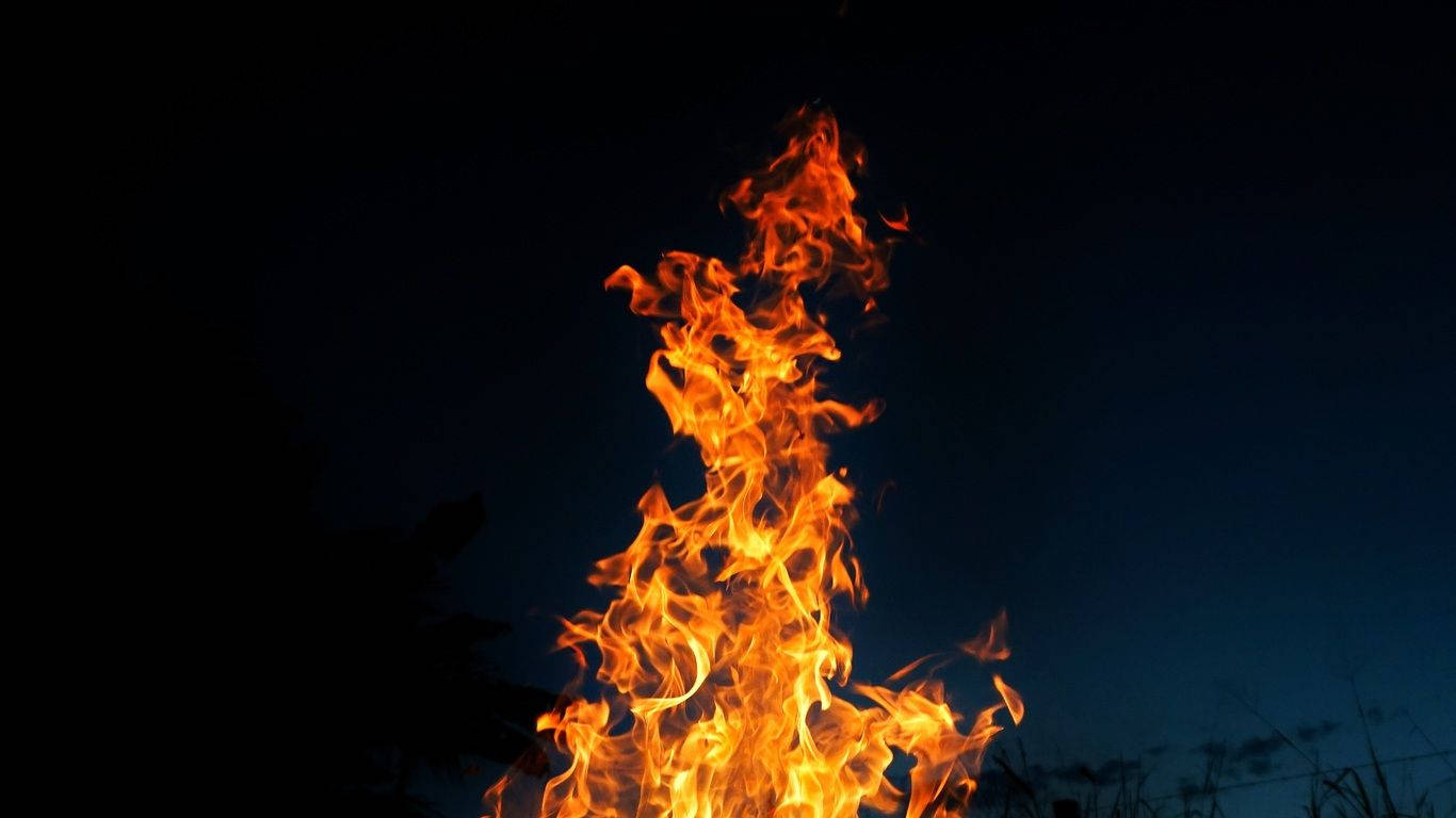 鮮豔的橙色和黃色火焰在黑暗的夜空中升起，伴隨著草地的剪影。