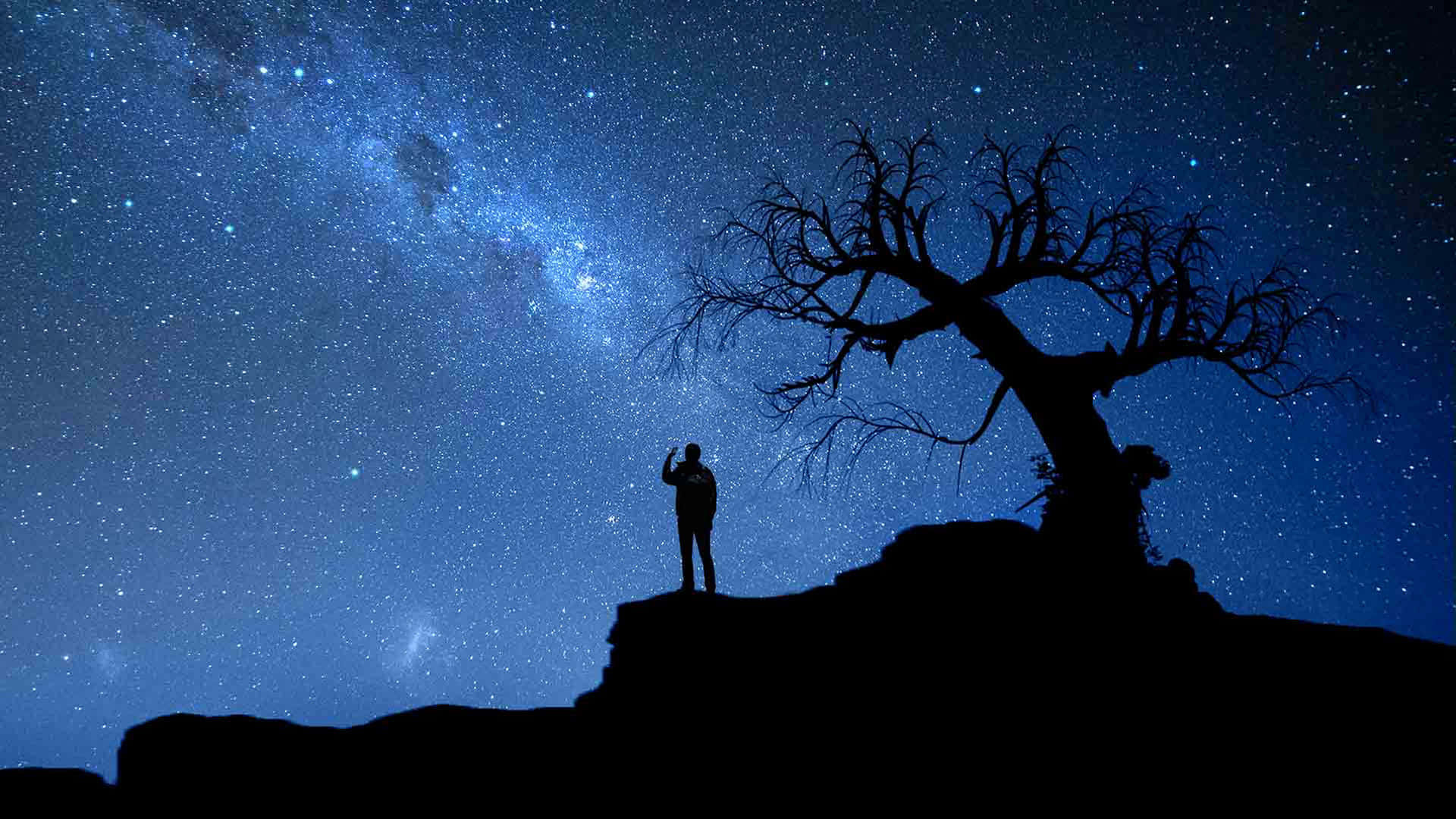 人站在懸崖上，星空下有銀河和光禿禿的樹