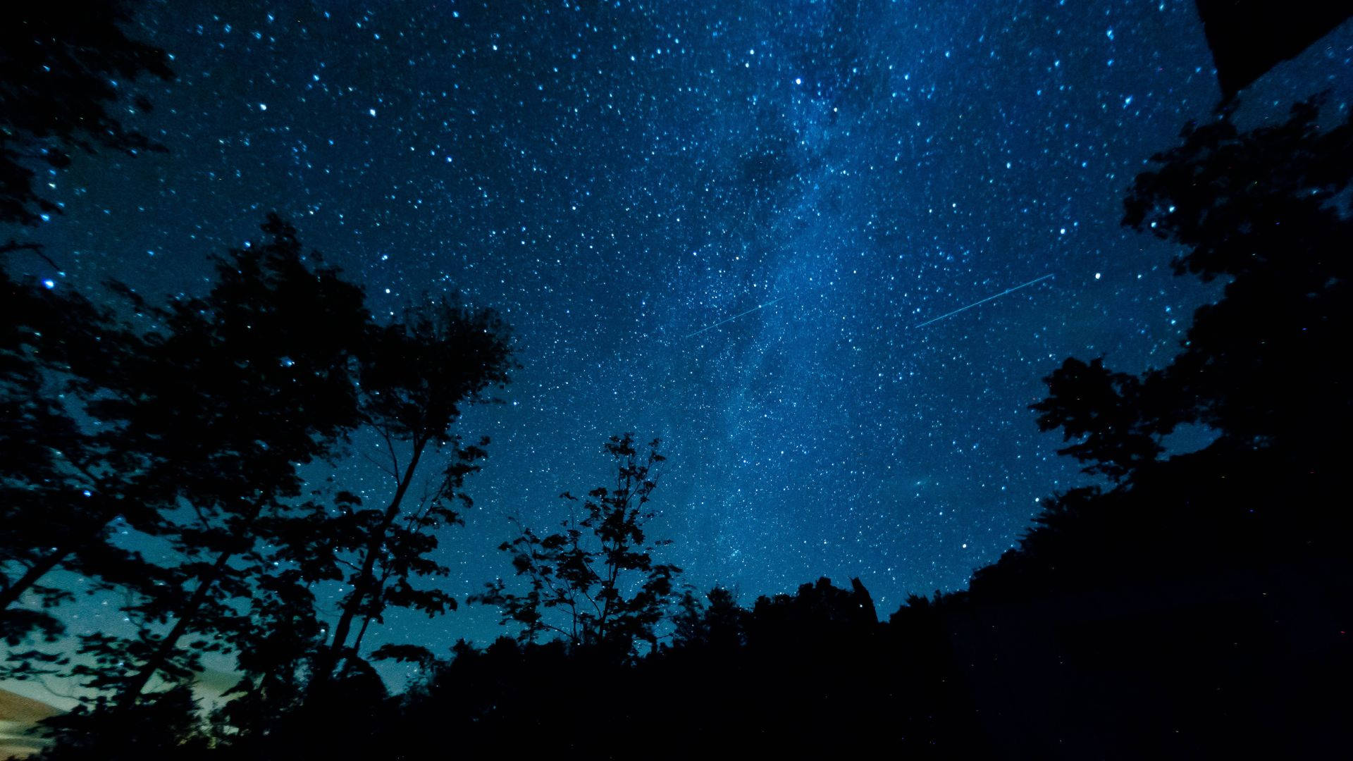 繁星點點的夜空，流星劃過樹木剪影