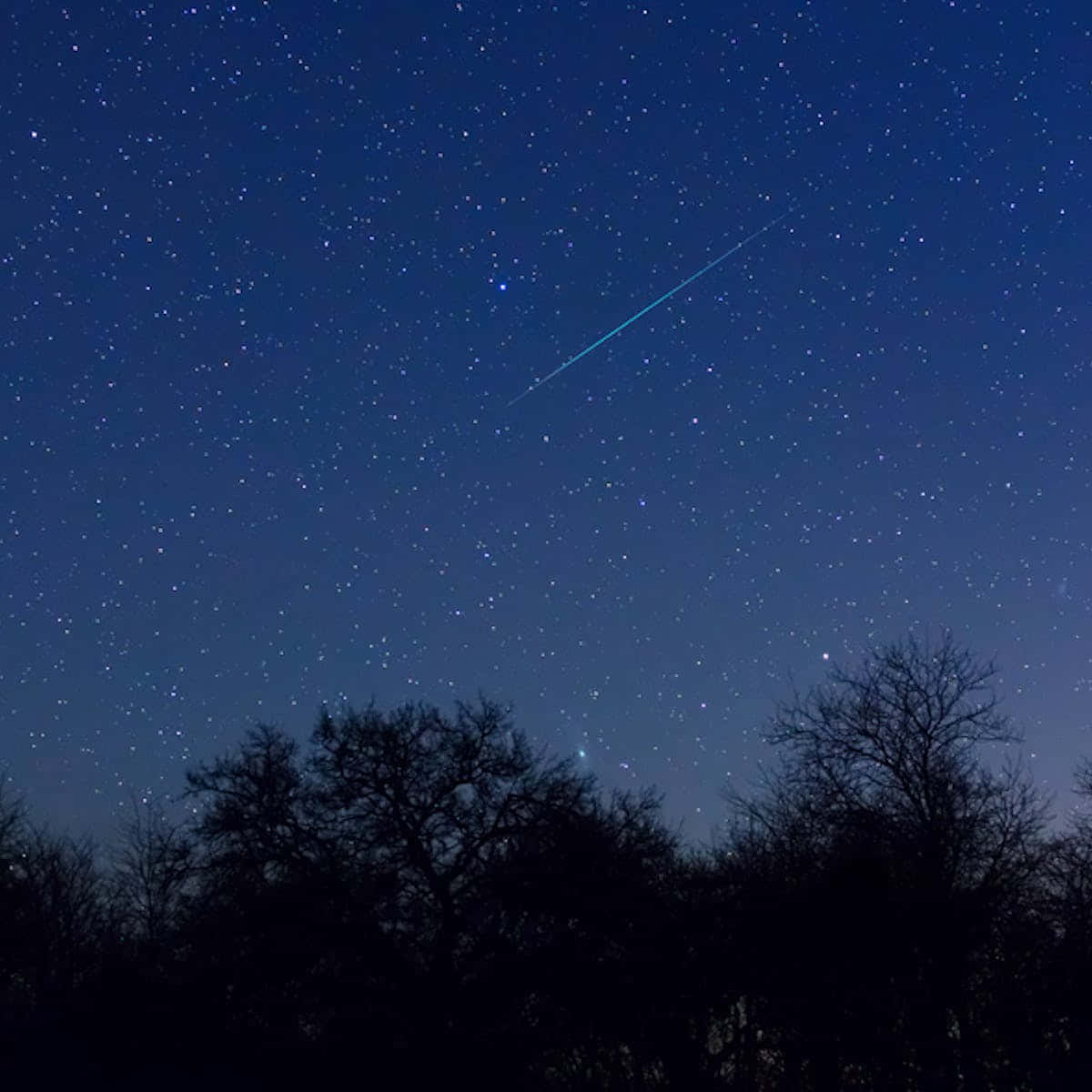 一顆明亮的流星在繁星點點的夜空中劃過，下方是光禿樹木的剪影。