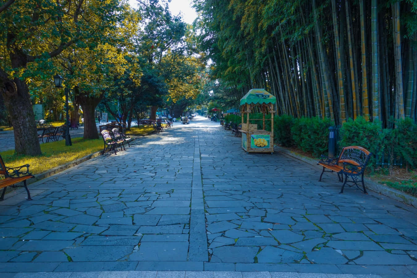 夜色中穿行都市小徑 壁紙 — 一條寧靜的石鋪公園小徑，兩旁種滿茂密的綠樹和長椅，在明亮的日光下。