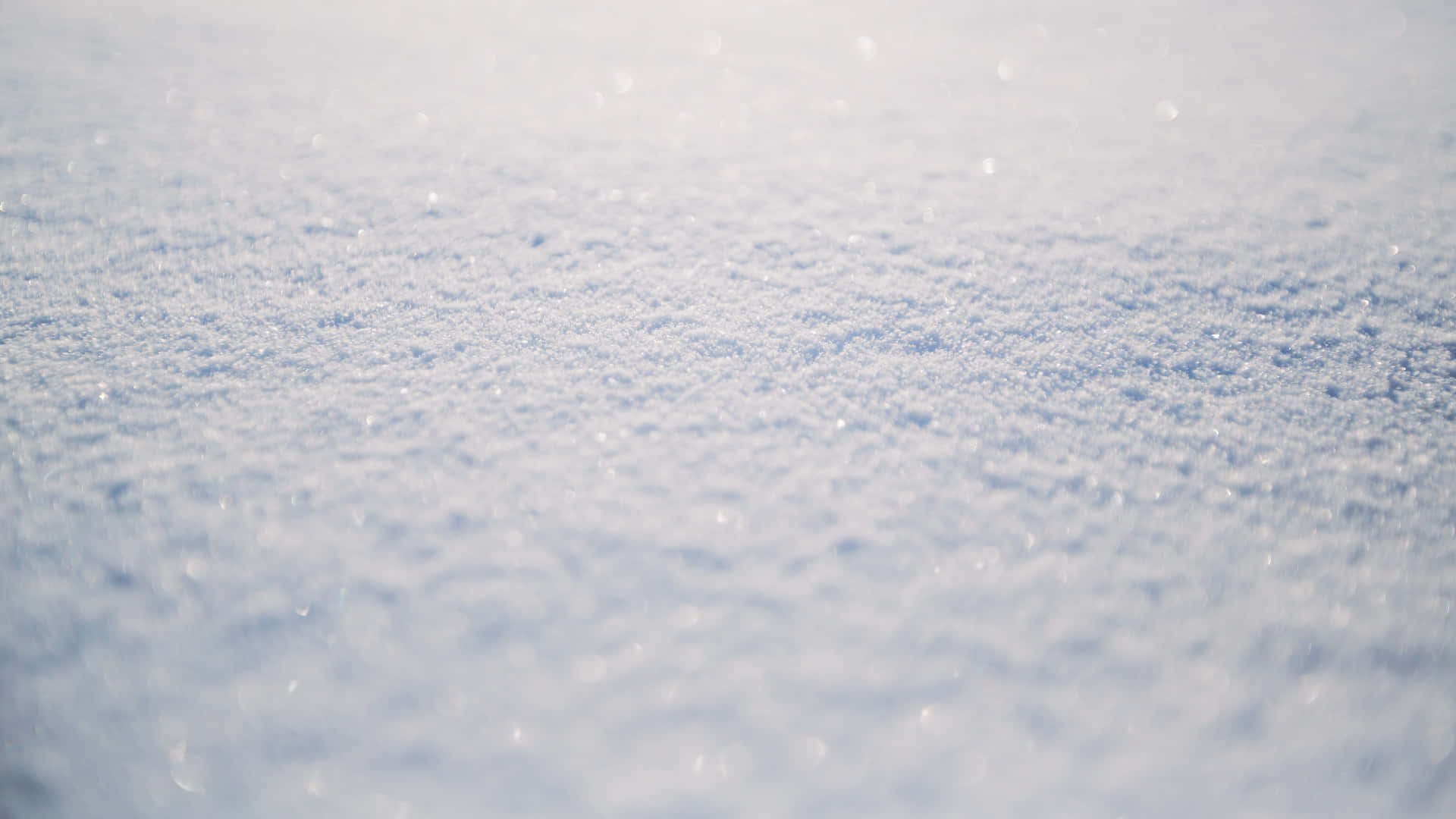 在明亮陽光下閃爍的雪花質感，景深較淺。