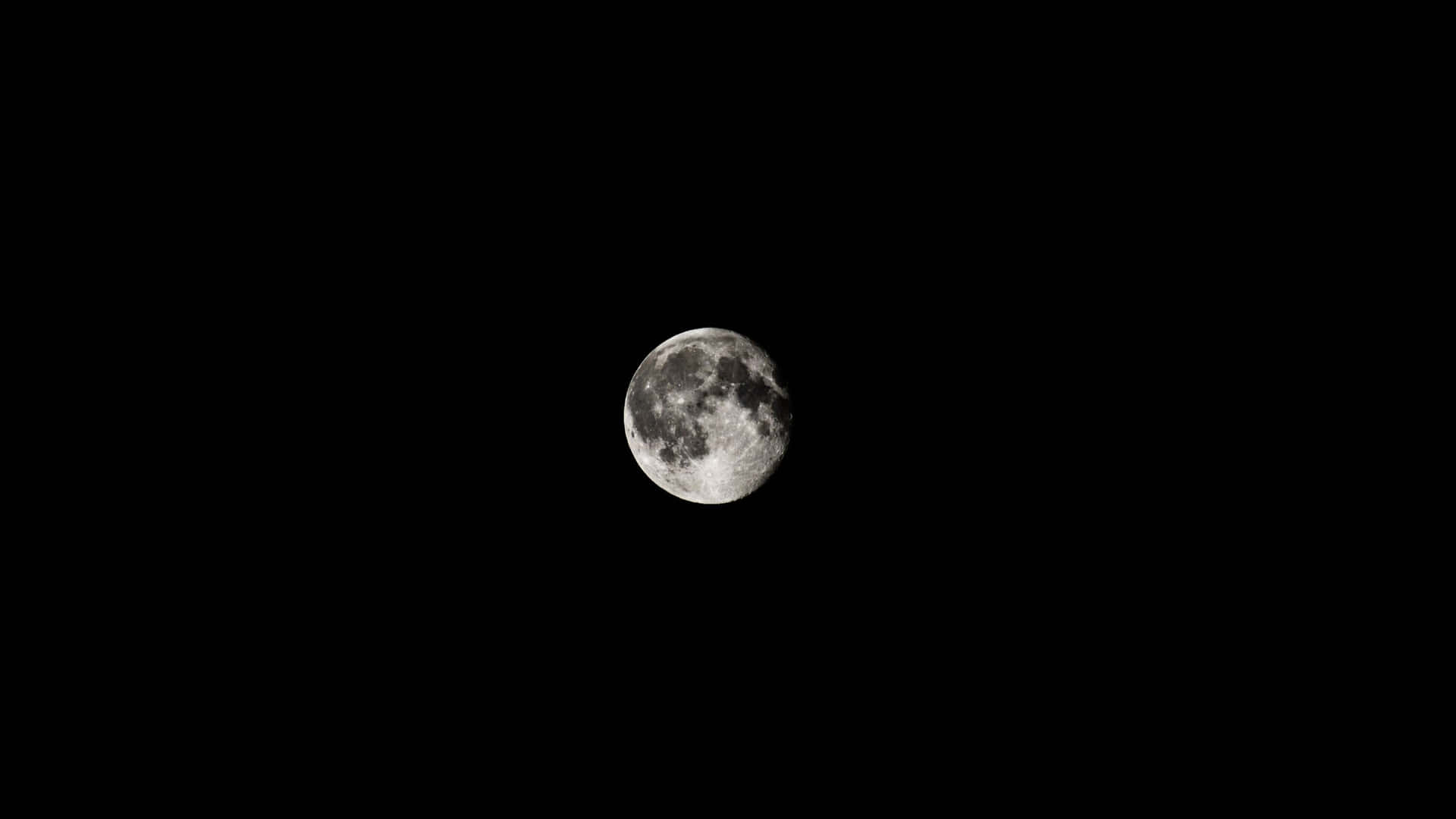 滿月位於黑暗夜空中央