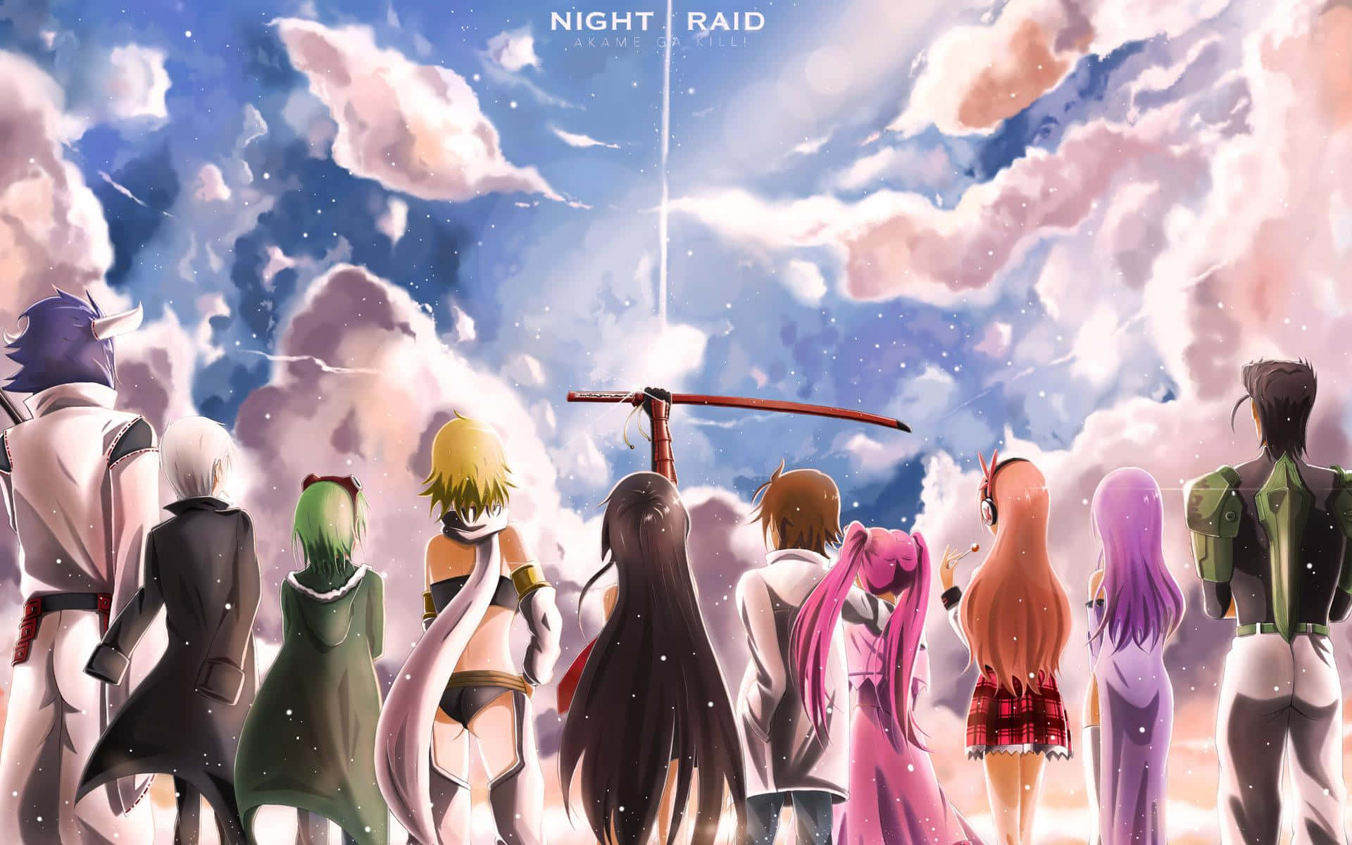 夜襲隊為正義而戰 — Akame 與隊友們 壁紙 — 來自 Night Raid 的動畫角色在充滿粉紅色和藍色雲彩的鮮豔天空下敬畏地站立。