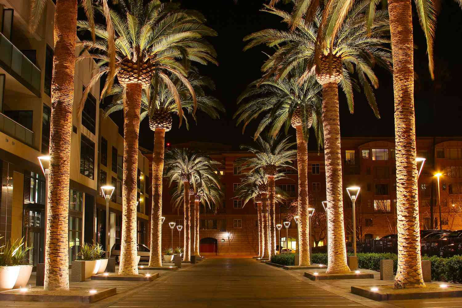 棕櫚樹與現代建築在溫暖燈光下照耀的夜景。