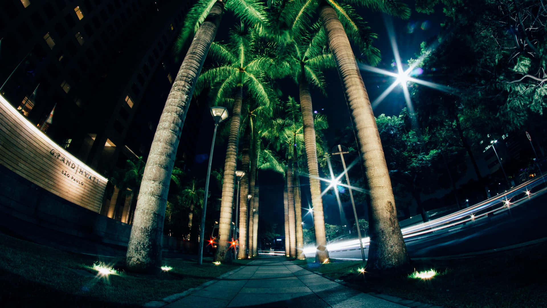 夜晚城市步道，兩旁有棕櫚樹和閃爍的路燈。