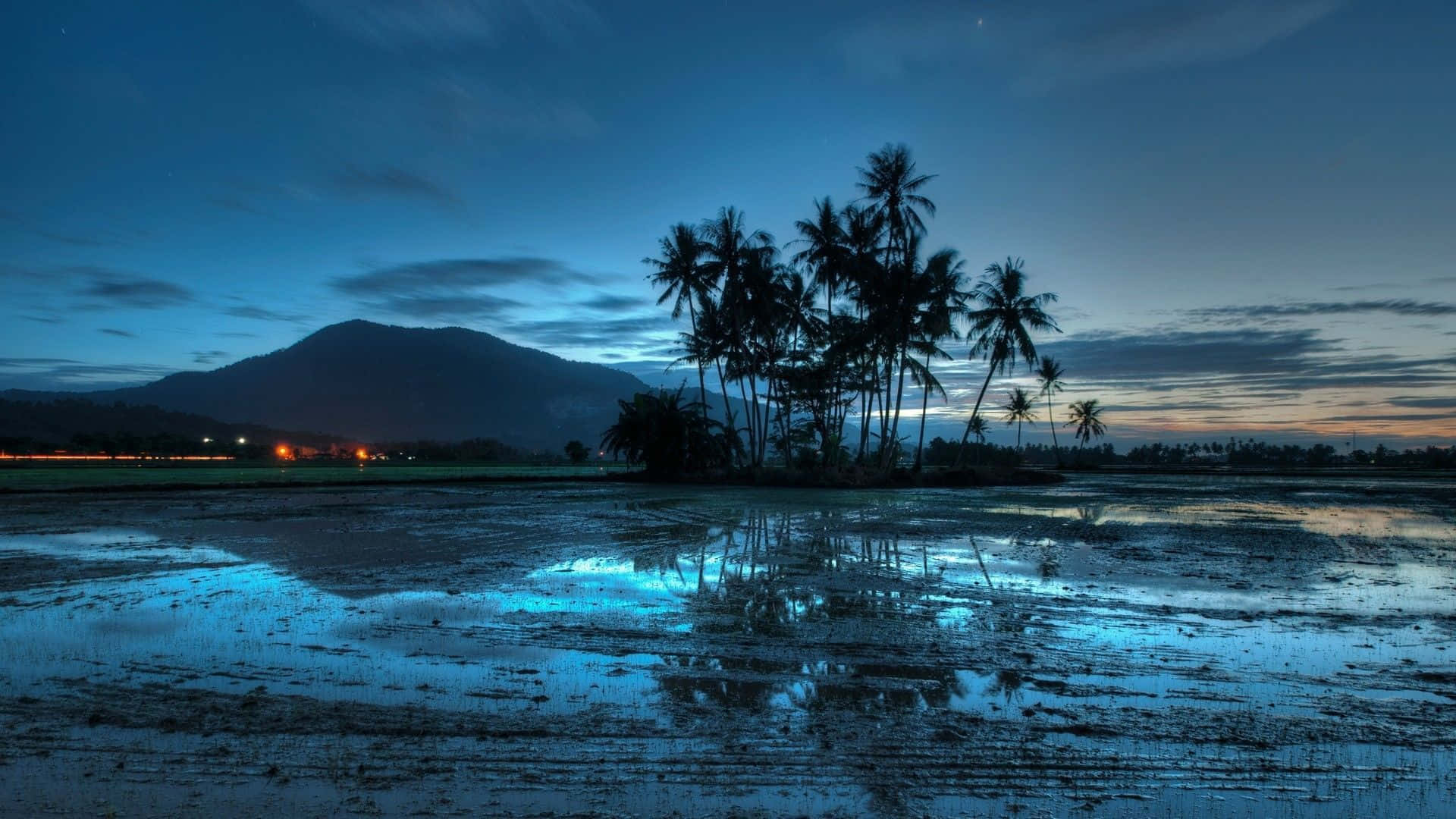 夜間海灘——神奇體驗 壁紙 — 棕櫚樹的剪影倒映在濕潤的稻田中，暮色天空下遠處有山和城市燈光。