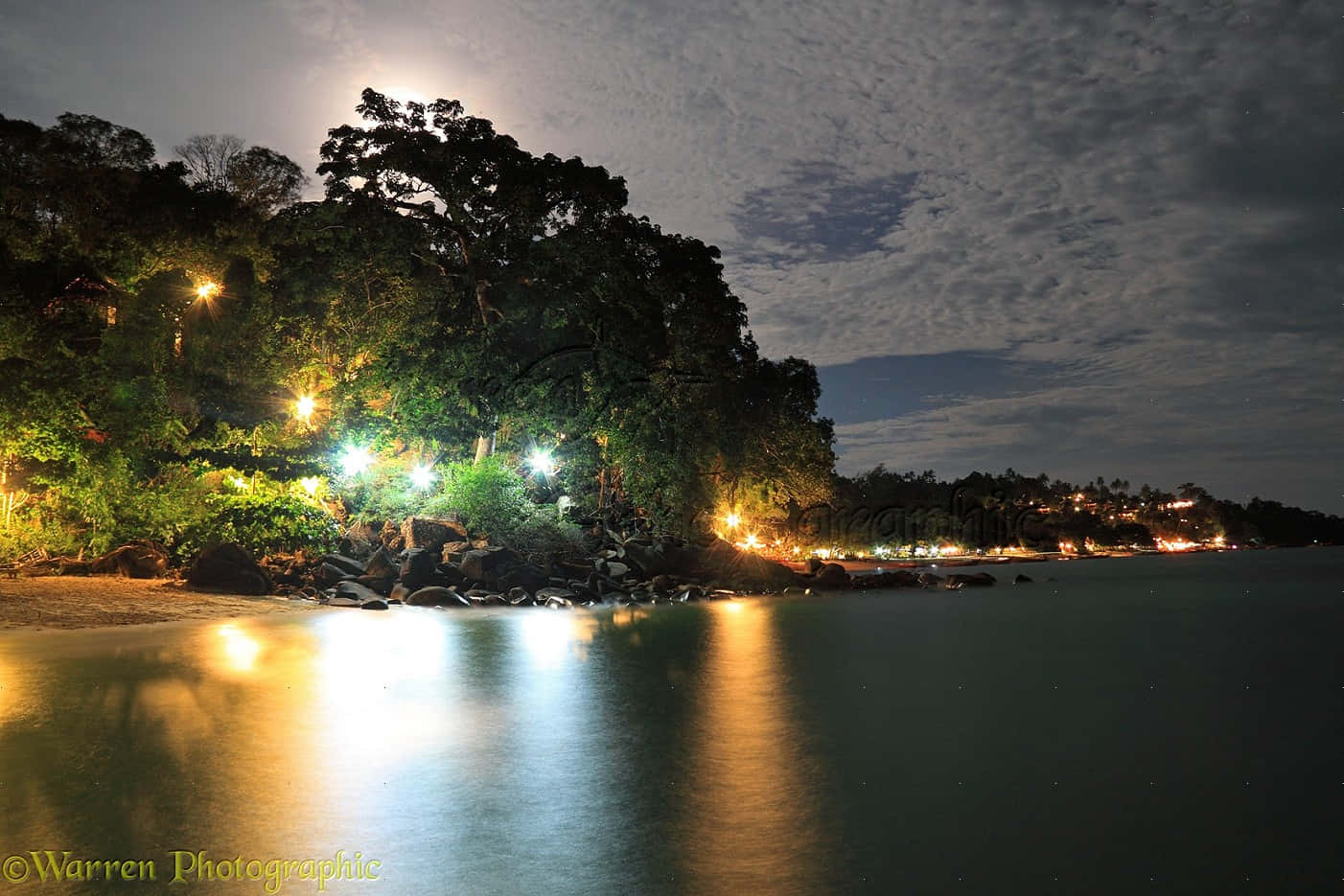 夜間海灘燈光 壁紙 — 月光下的夜晚沙灘，發光的燈串倒映在平靜的水面上，旁邊是茂密的樹木。