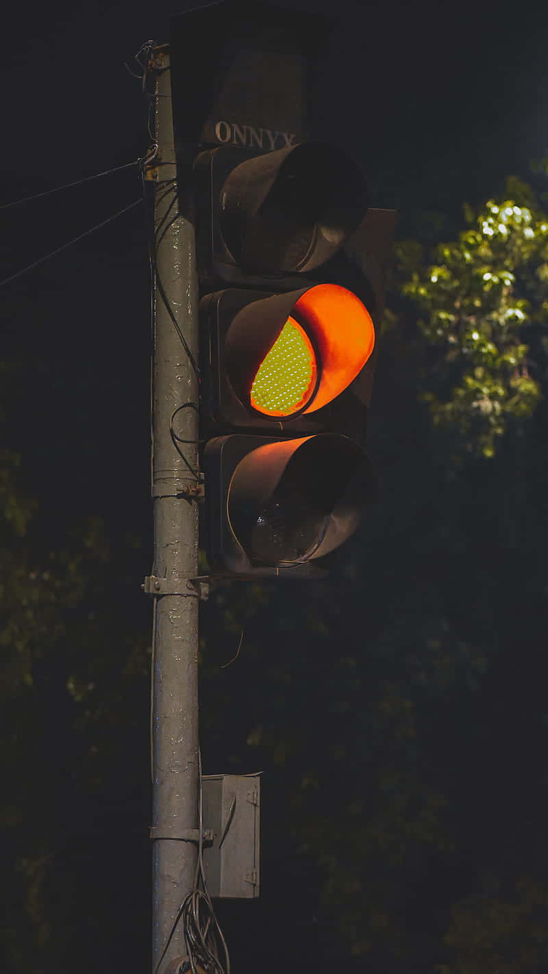 夜晚發光的琥珀色交通燈，背景有綠葉。