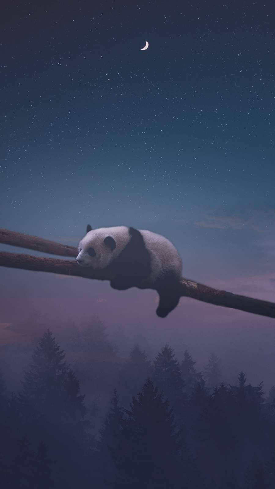 熊貓在繁星點點的夜空下，在帶有新月的樹枝上睡覺。