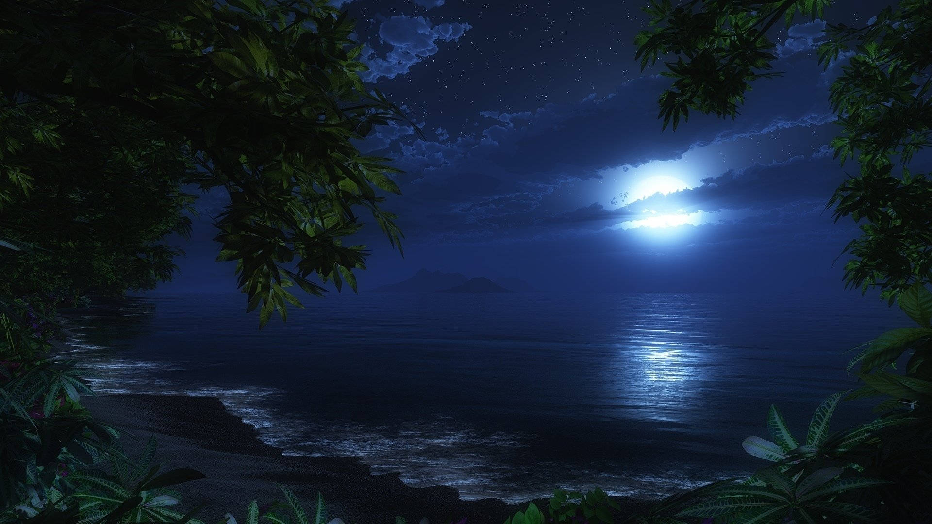 夜間熱帶海灘前線 壁紙 — 寧靜的夜景，明亮的月亮在平靜的海面上灑下閃爍的光芒，周圍環繞著茂密的綠色樹葉。
