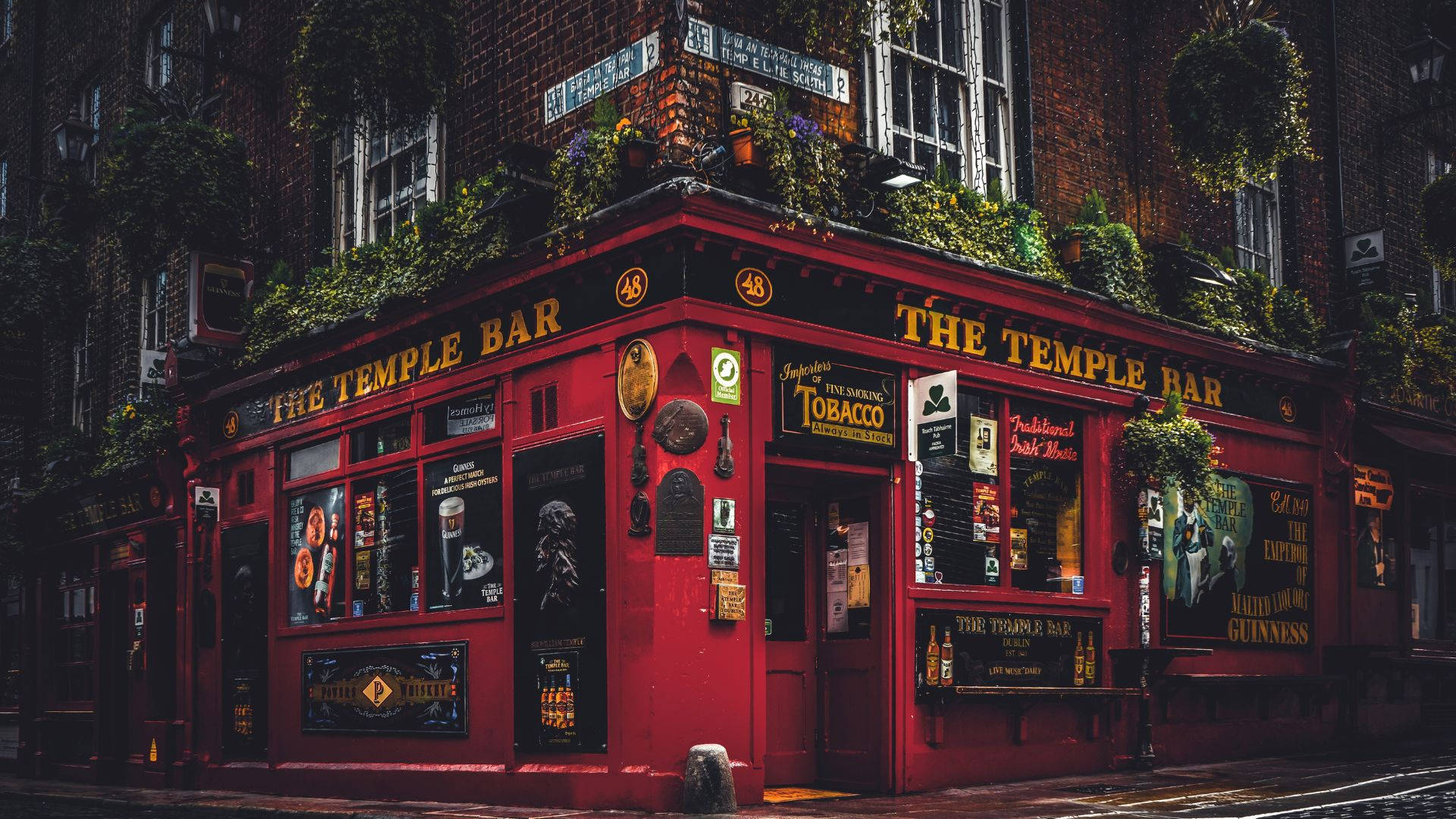 夜間的「The Temple Bar」酒吧攝影 壁紙 — 繁華都市街道上，一個充滿活力的紅色酒吧角落，擁有常春藤覆蓋的磚牆和發光的窗戶。