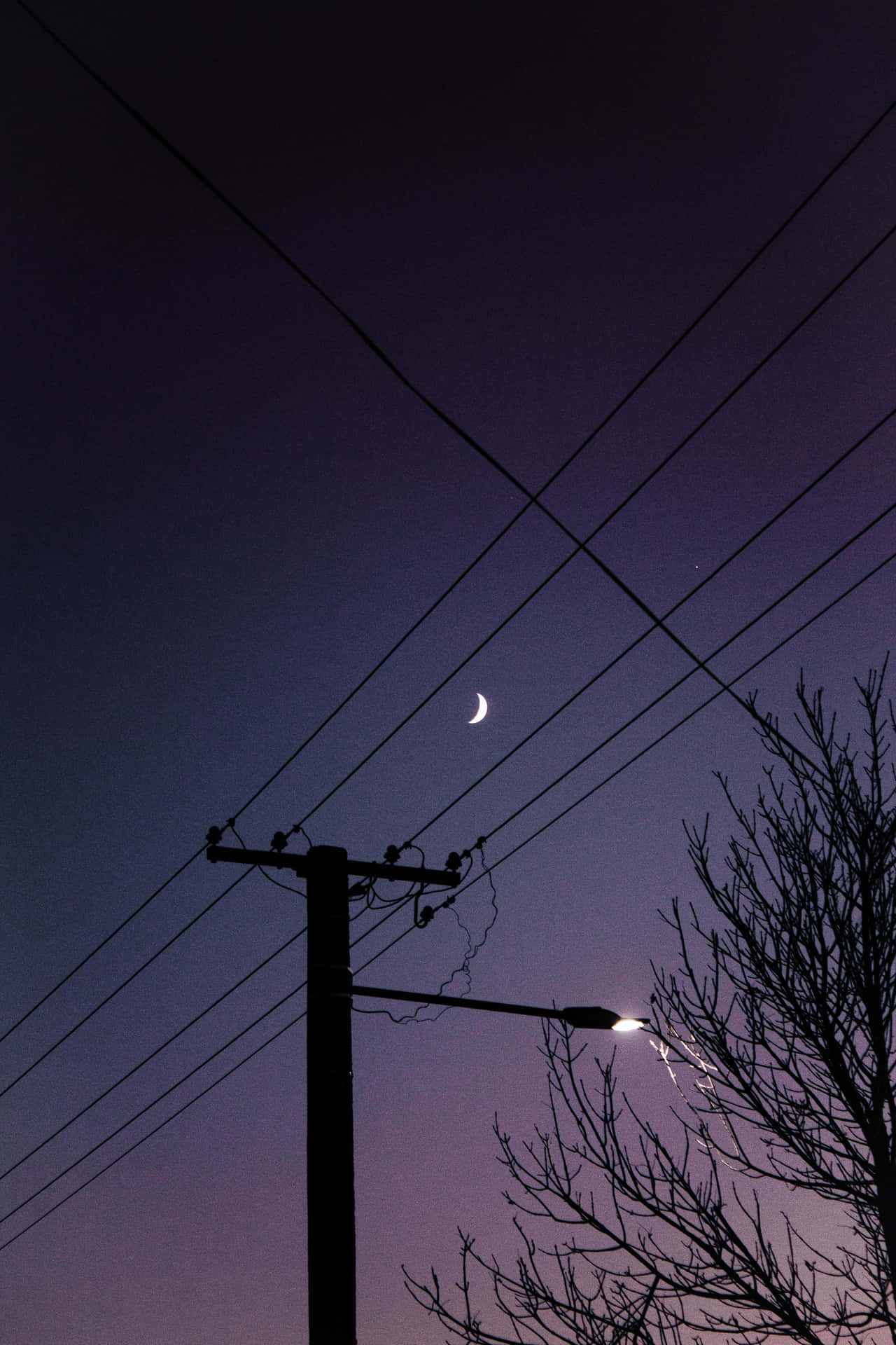 夜間街燈美學圖片 壁紙 — 一彎新月在暮色天空中，照亮了剪影般的電線和光禿的樹枝。