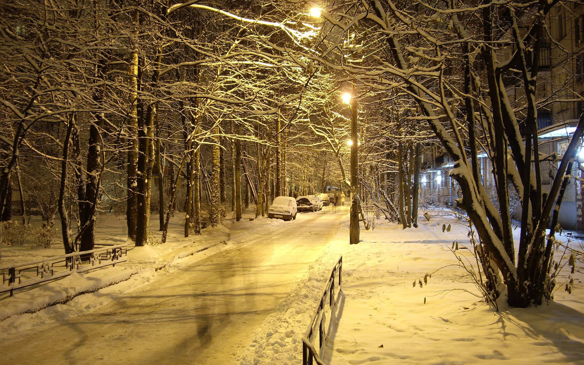 被溫暖路燈照亮的積雪城市街道，有光禿的樹木和停泊的汽車。