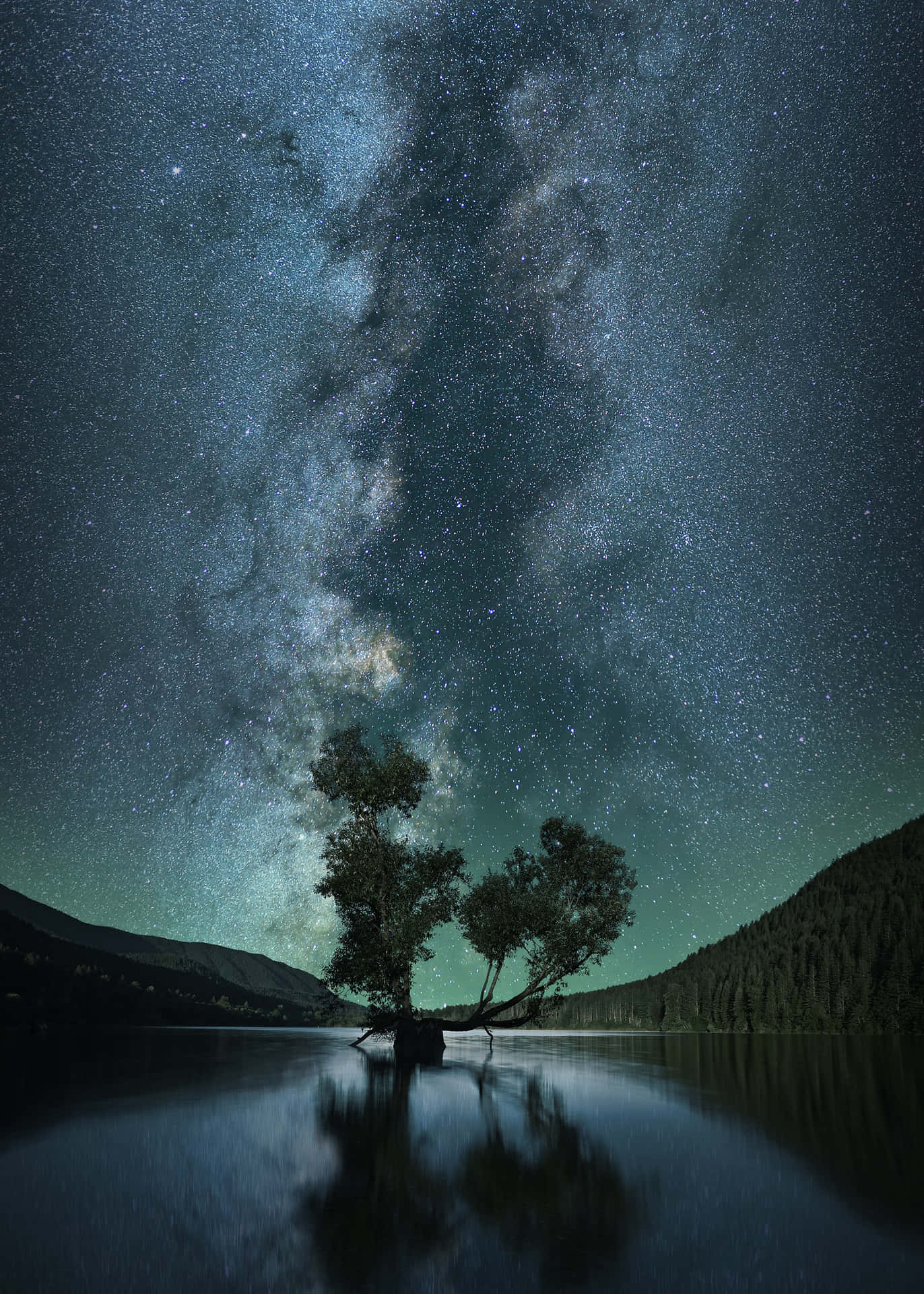 一棵孤樹倒映在水中，下方是充滿活力的繁星夜空，銀河閃耀。