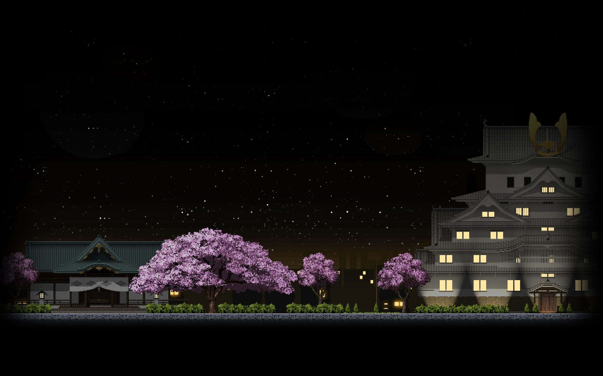夜晚在星空下點亮的櫻花樹和傳統日本建築。