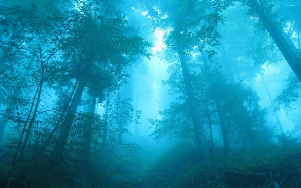 霧氣森林中，陽光穿過高聳的樹木，投射出藍色的光束。