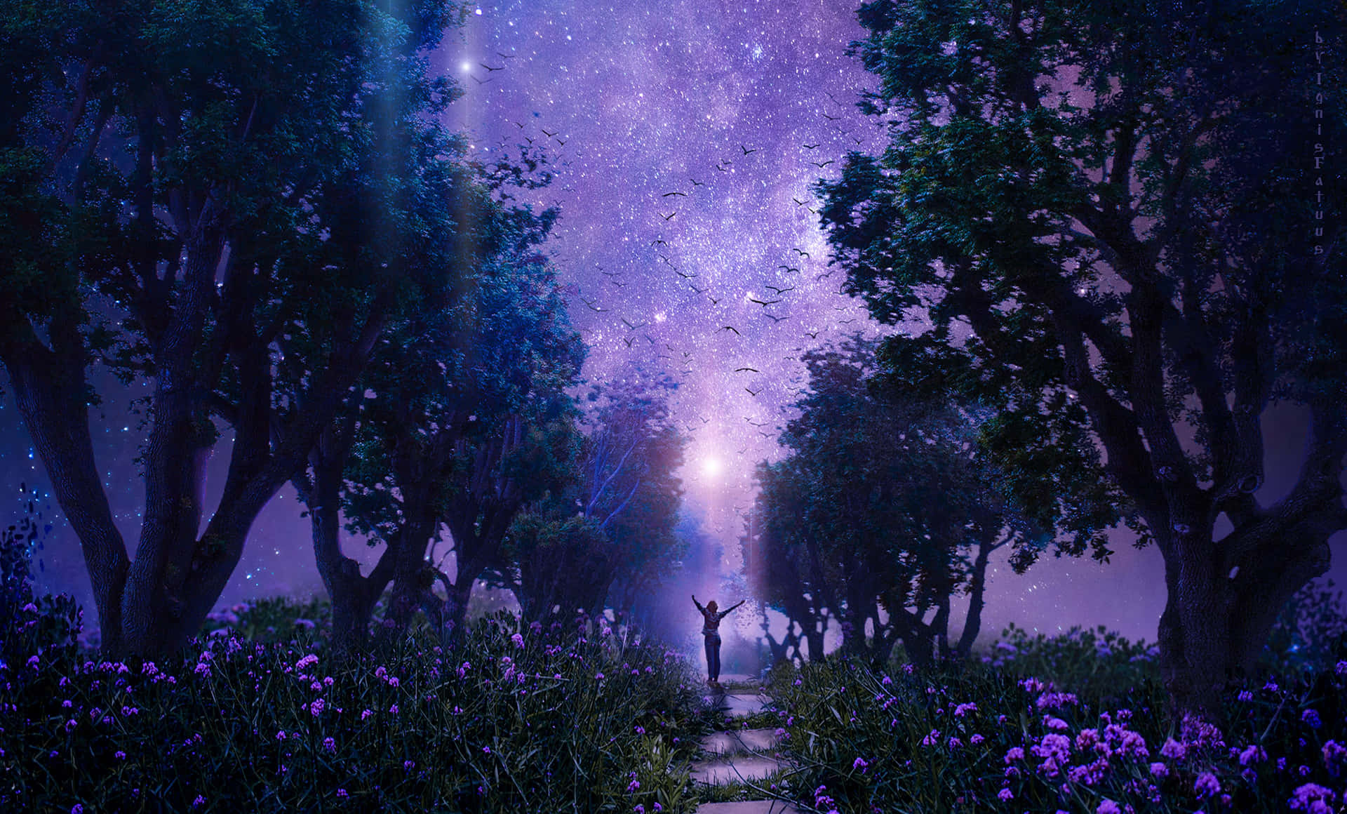 夜晚在森林中，星空下站著一個人，周圍有發光的花朵
