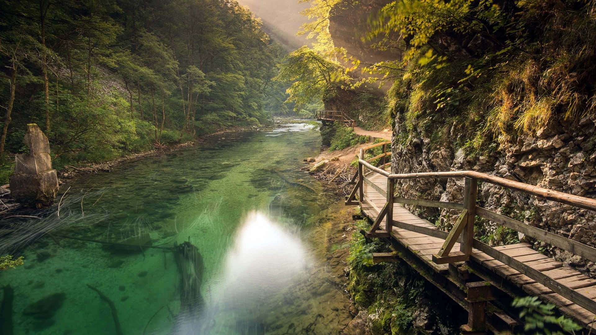 森林峽谷中清澈碧綠的河流旁的木棧道，陽光穿過樹木灑落。
