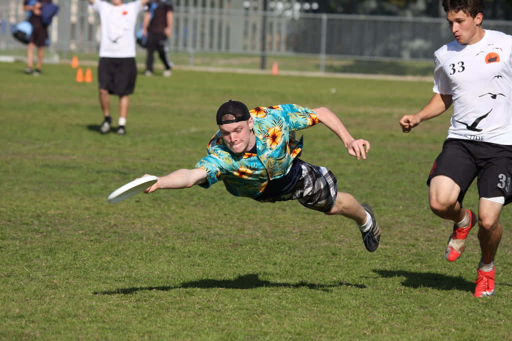 大學賽事最佳 Ultimate Frisbee 背景 壁紙 — 一名身穿熱帶襯衫的男性運動員在陽光照耀的草地上全身撲向飛盤，另一名球員在附近奔跑。