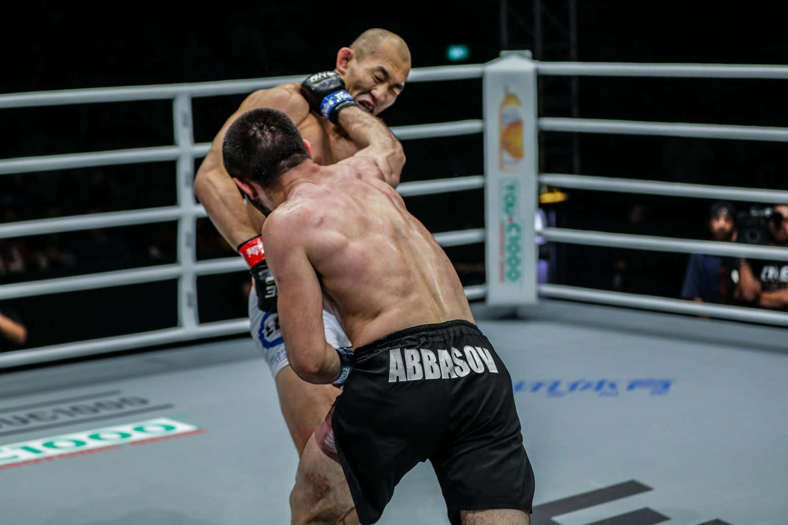 兩名MMA拳手在比賽期間於籠內交戰。