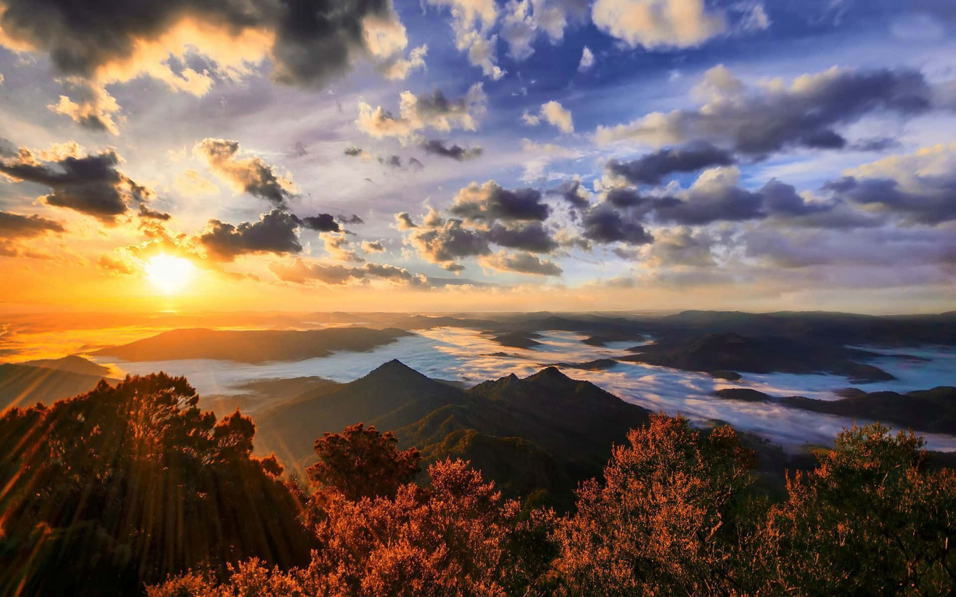夕陽映照山巒，下方雲朵閃耀金色和紫色光芒。