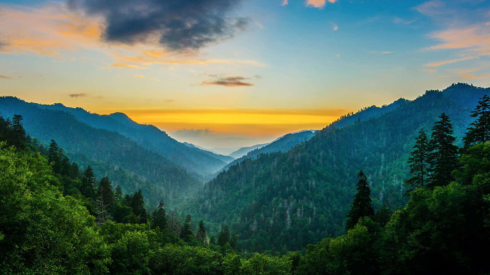 夕陽映照著森林覆蓋的山脈，霧氣彌漫的山谷和鮮豔的天空色彩。