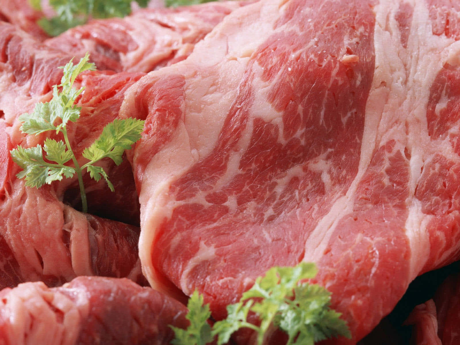 Red Meat 桌布 壁紙 — 大理石紋生牛肉的特寫，新鮮綠色芫荽葉散落在豐富的紅色表面上。