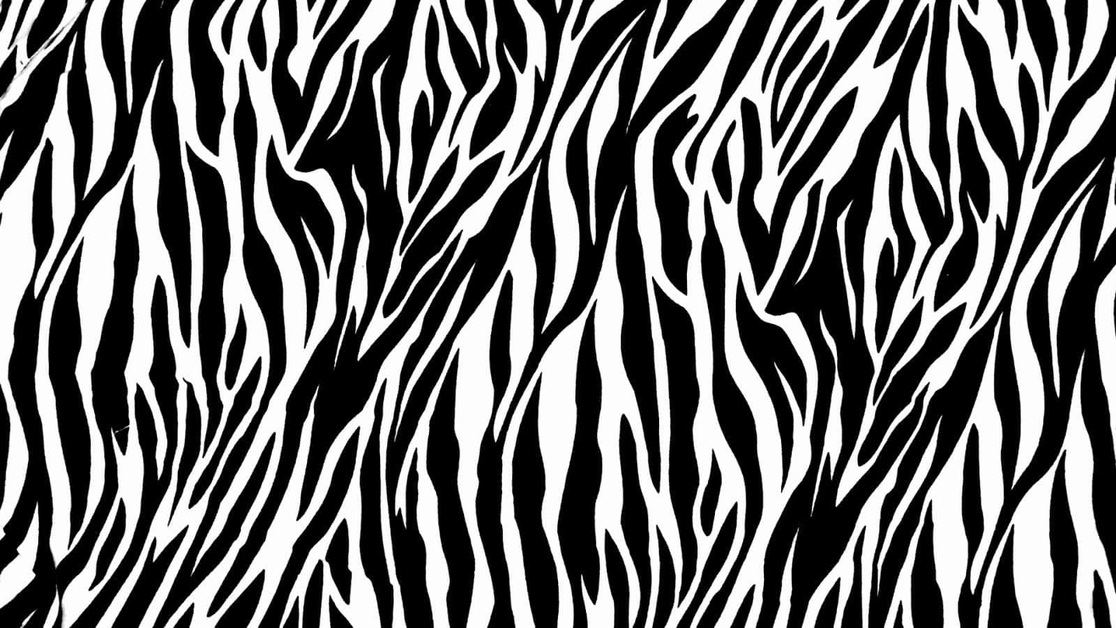 Animal Print 桌布 壁紙 — 大膽的黑白斑馬條紋圖案以動態流暢的設計填滿畫面。