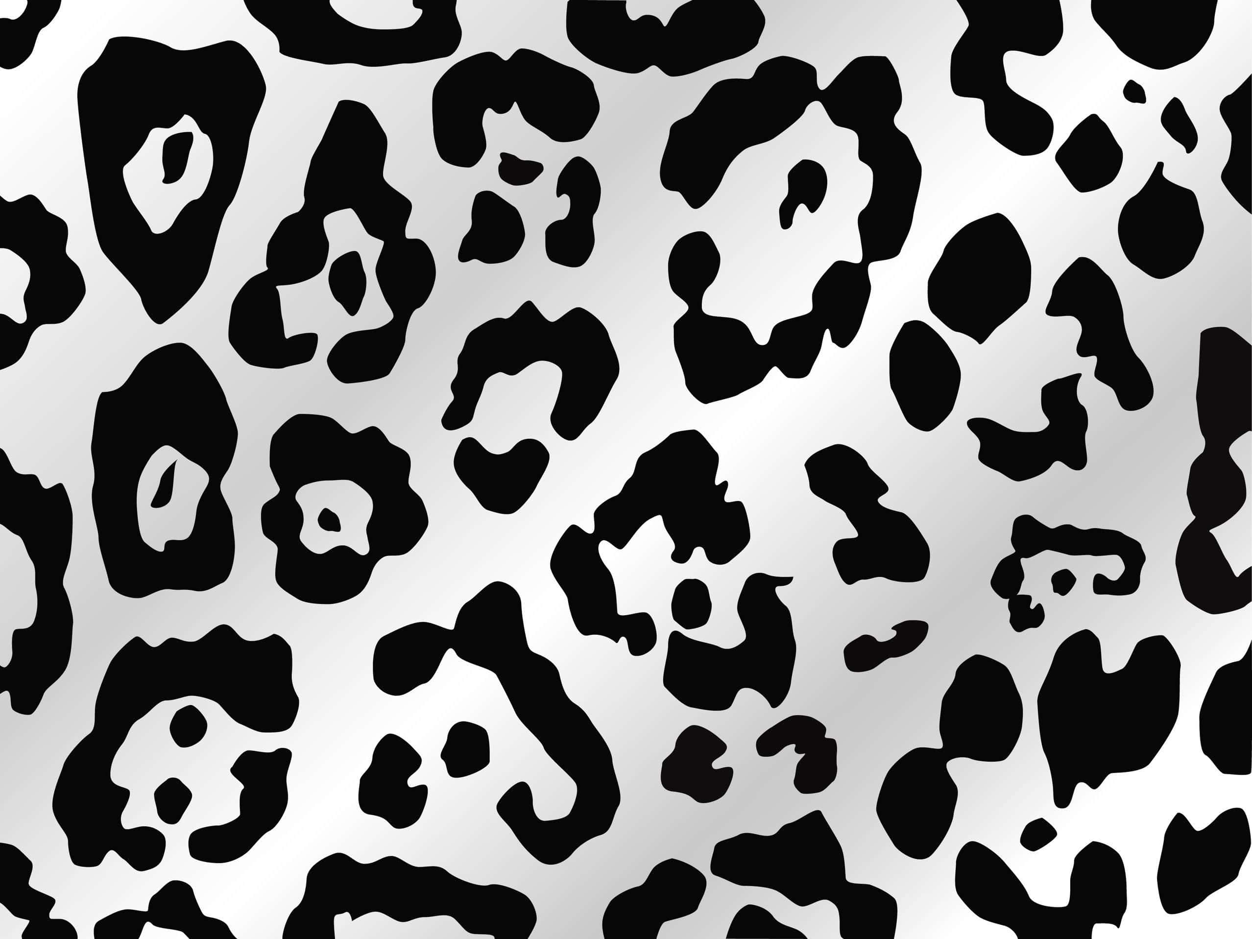 Animal Print 桌布 壁紙 — 大膽的黑色豹紋斑點與時尚的銀色漸變背景形成鮮明對比。