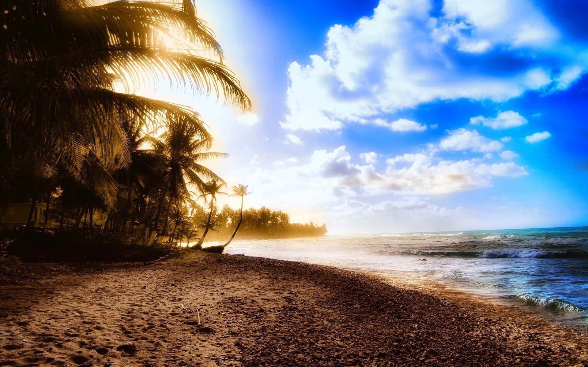 棕櫚樹在金色夕陽下剪影，映襯著沙灘和碧綠的海浪。