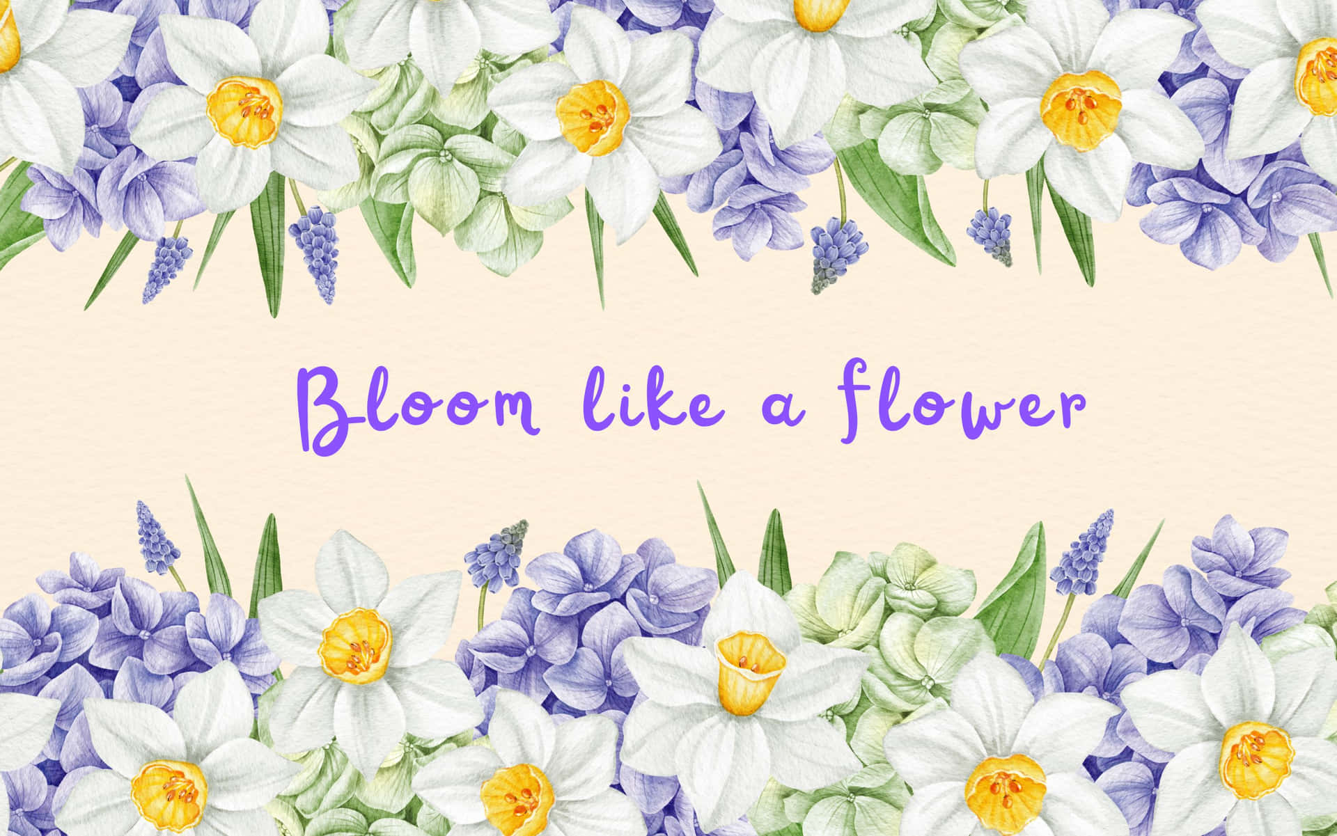 水彩花卉邊框，有水仙花、風信子和文字「bloom like a flower」。